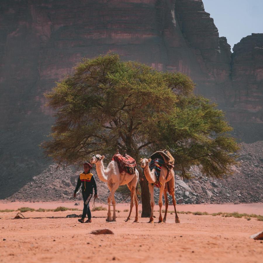 Wadi Rum Magic Nature Camp Екстериор снимка